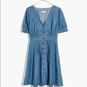 Denim Daylily Dress
